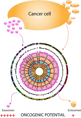 Proteogenomics of Exosomes; Proteogenomics of EVs